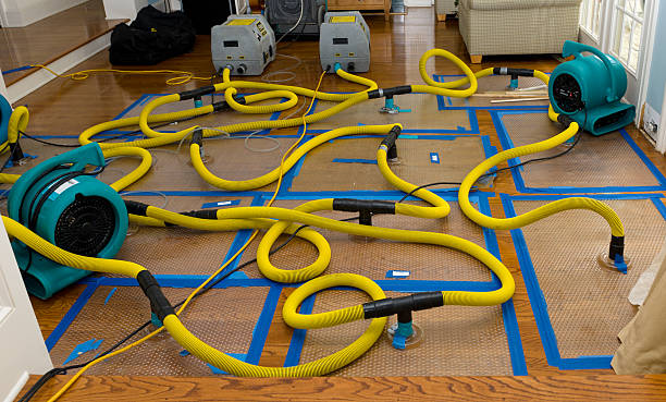 Professional Sewage Cleanup technician working in Winchester, OH